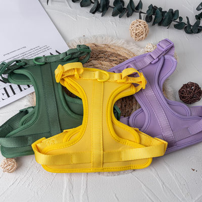 خرید Neoprene شخصی پالتو سگ هارمنی سرنشین و گردنبند برای تنظیم مناسب S / M / L تولید آنلاین