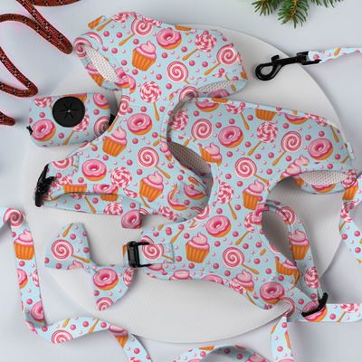خرید XS Dog Harness And Leash Set Sublimation Decoration Scarf Cat Harness Set (سایت کمربند سگ و سرنشین) تولید آنلاین