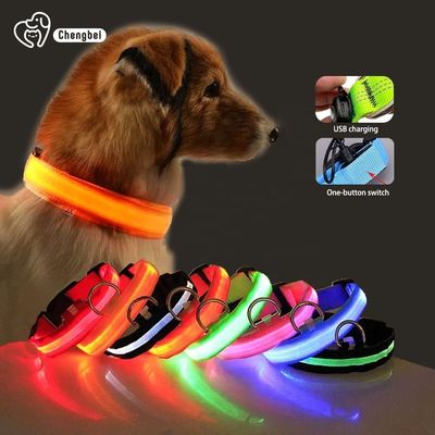 خرید Hundehalsband گردنبند سگ روشن قابل شارژ نایلون XS XL LED گردنبند حیوان خانگی تولید آنلاین