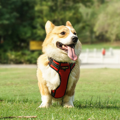 خرید آبپاش Hi Vis Harness برای سگ ها LED Light Up Dog Harness XS-XL تولید آنلاین