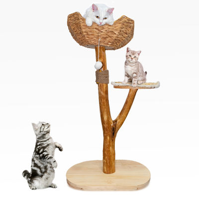 خرید درخت گربه طراحی منحصر به فرد چوب طبیعی برج گربه آسان صعود گربه کوچک تولید آنلاین