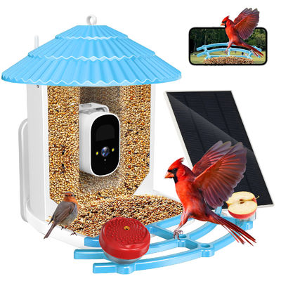 IP66 ضد آب 4MP Smart Bird Feeder 2.5L دوربین پرنده های وحشی