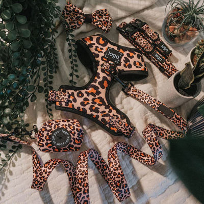 پالتو سگ هارمنی سرنشین و گردنبند بدون کشیدن Neoprene Mesh جلیقه نرم سگ برای حیوانات خانگی راه رفتن و دویدن