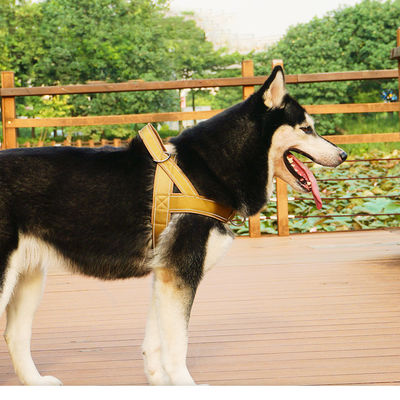 Oem Odm لوازم جانبی سگ سفارشی Leash And Harness Collar طراح تاکتیکی طراحی سفارشی ایمنی حیوانات خانگی Dog Harness Set Dog Pet Harness